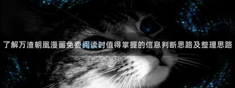 51漫画免费