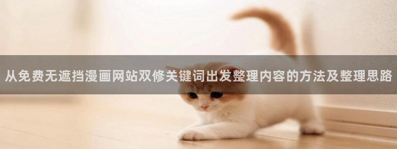 恋爱漫画：从免费无遮挡漫画网站双修关键词出发整理内容的方法及整理思路