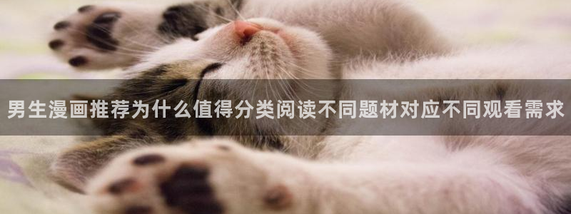 漫画软件:男生漫画推荐为什么值得分类阅读不同题材对应不同观看需求